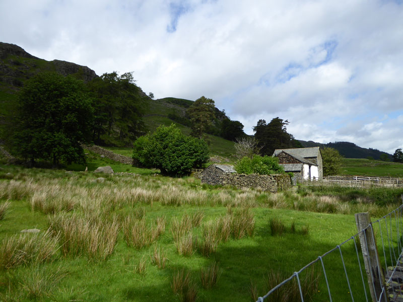 Stenkin Farm
