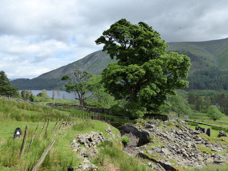 West Head Thirlmere