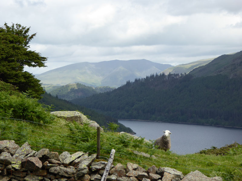 Thirlmere