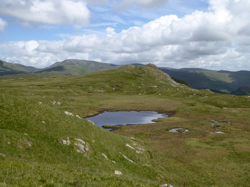 Brownrigg Moss