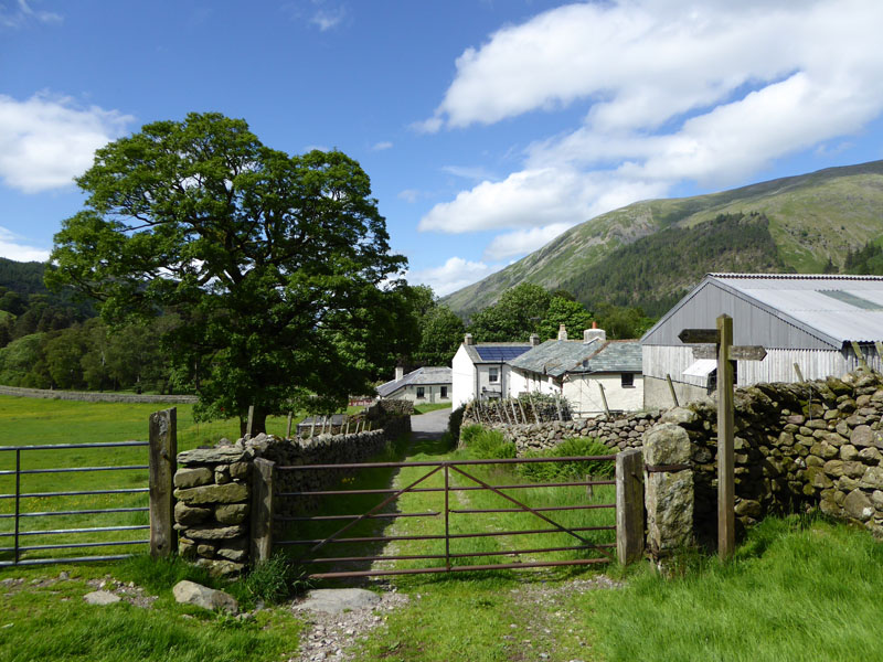 Steel End Farm