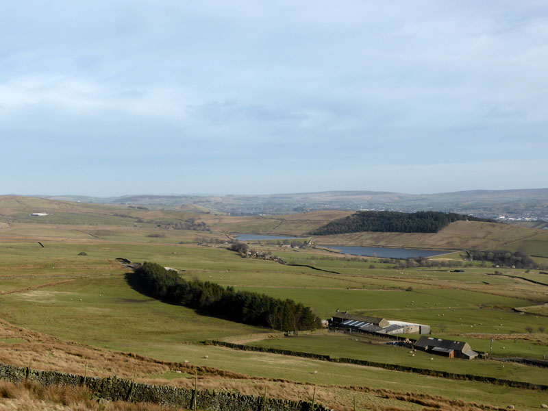 Black moss Reservoirs