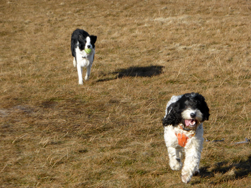 Molly and friend