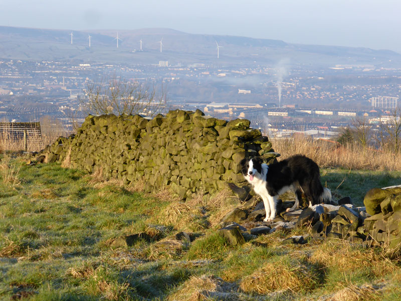 Pendle Day