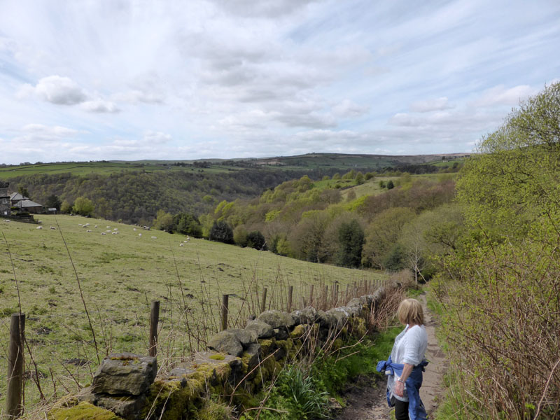 Pecket Well