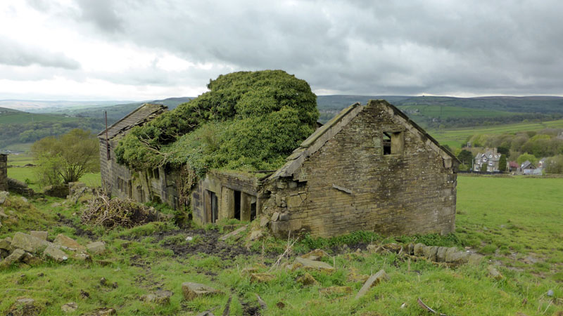 Far Nook Farm