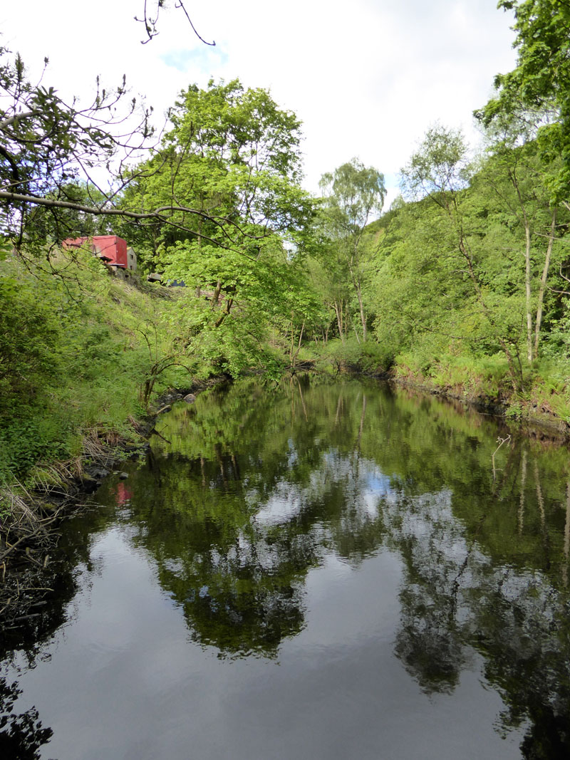 Mill Pond