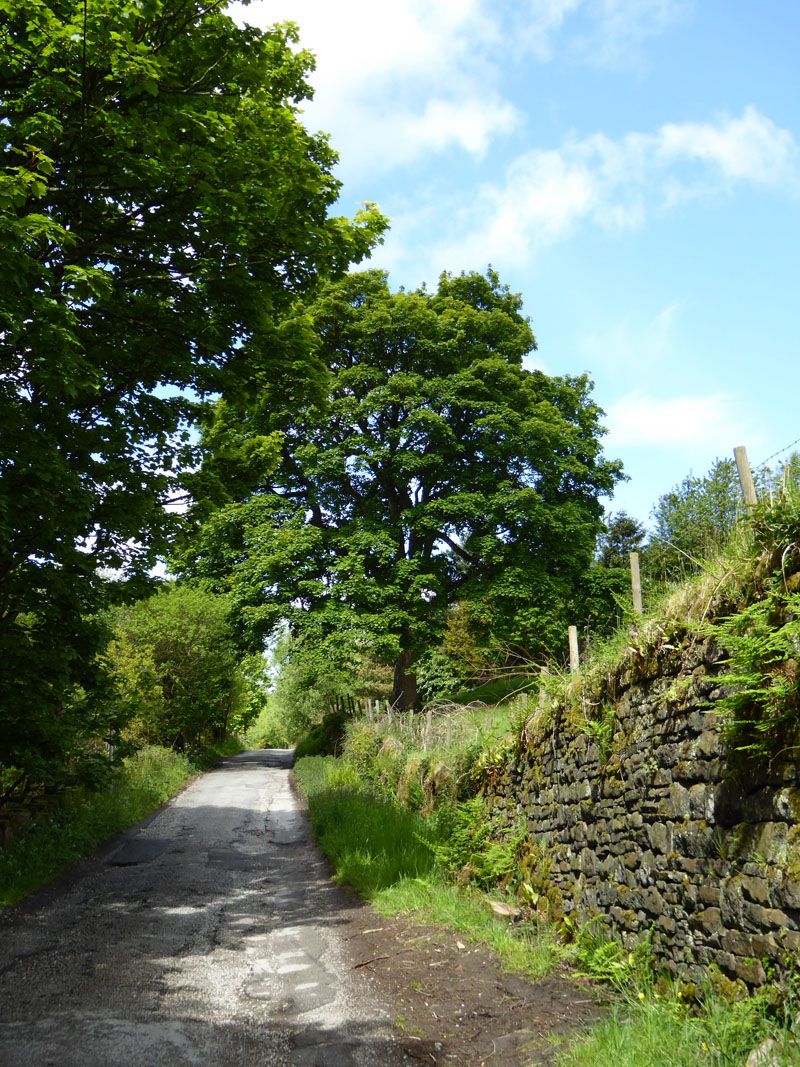 Withins Clough Road