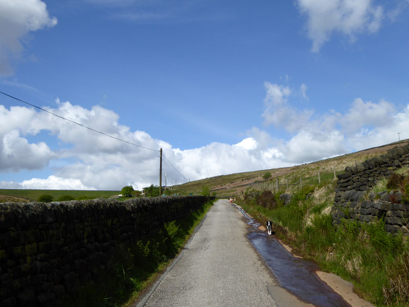 Withins Grove Reservoir Road