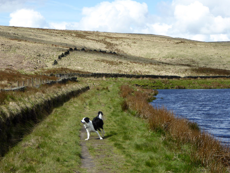 Withins Clough Walk