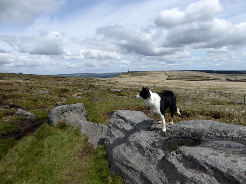 Gritstone