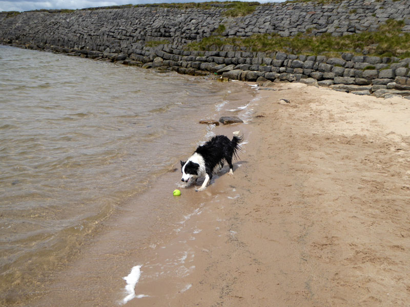 Gaddings Beach