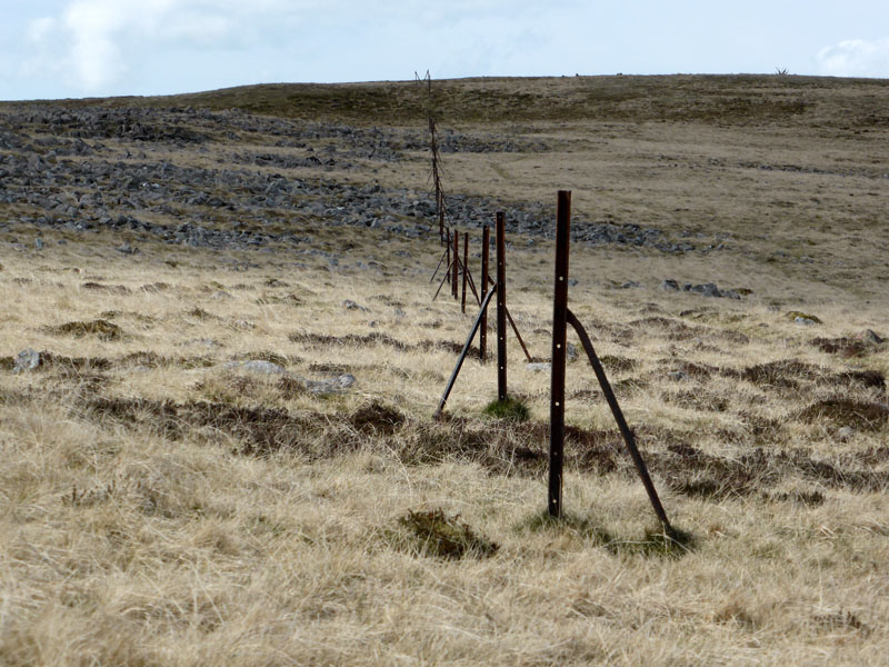 Iron Fence