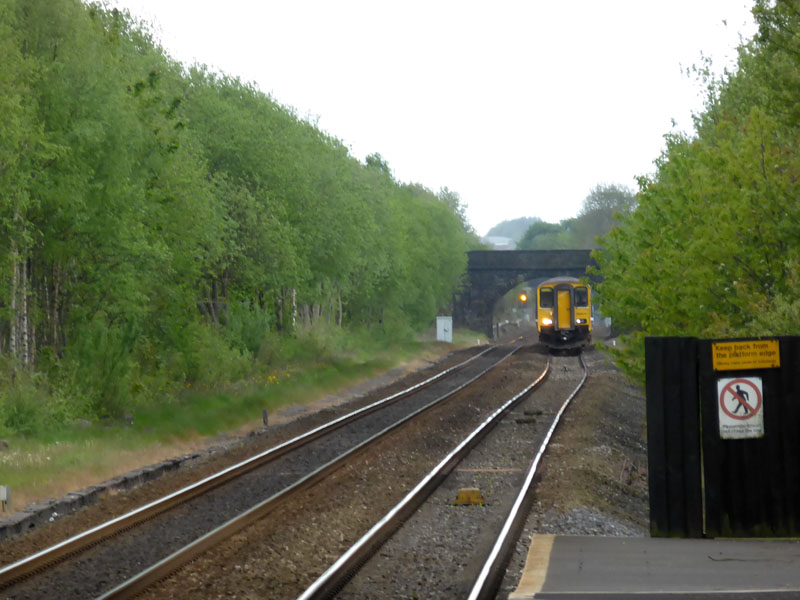 Diesel Train