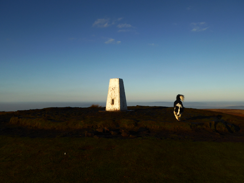 Pendle Summit