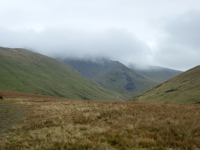 Brunt Knott