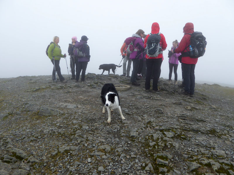 Blencathra Summit