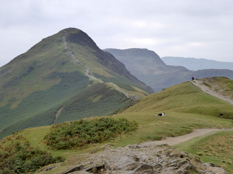 Catbells Ridge