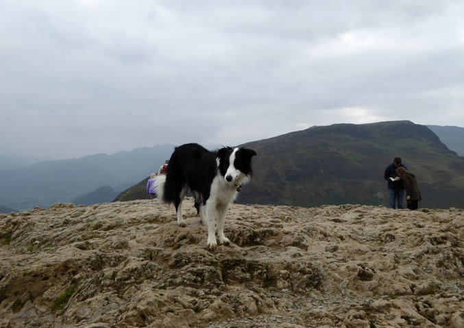 Molly on Catbells