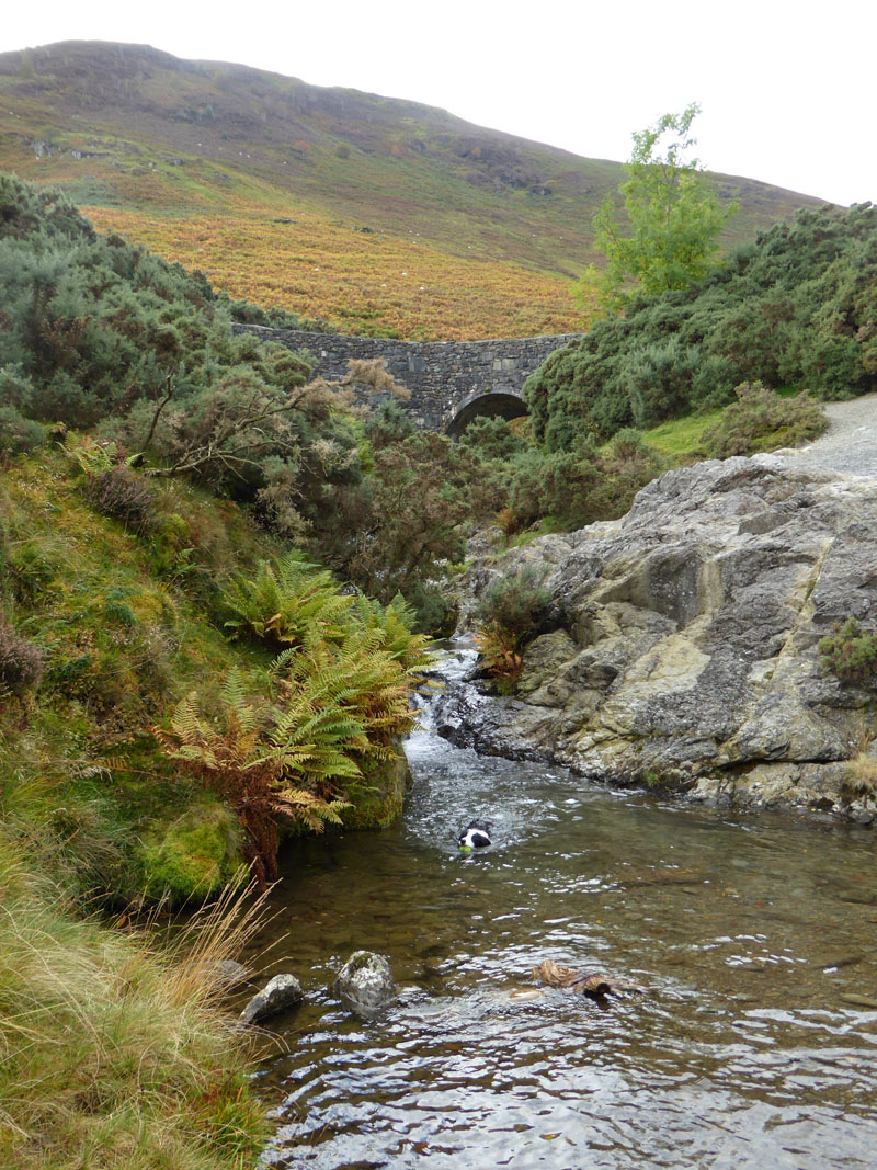 Stoneycroft Bridge