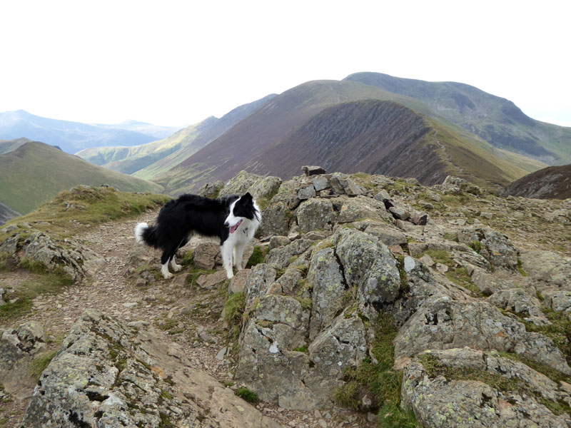 Causey Pike Summit