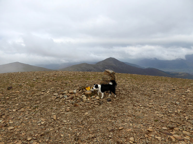 Eel Crag Summit