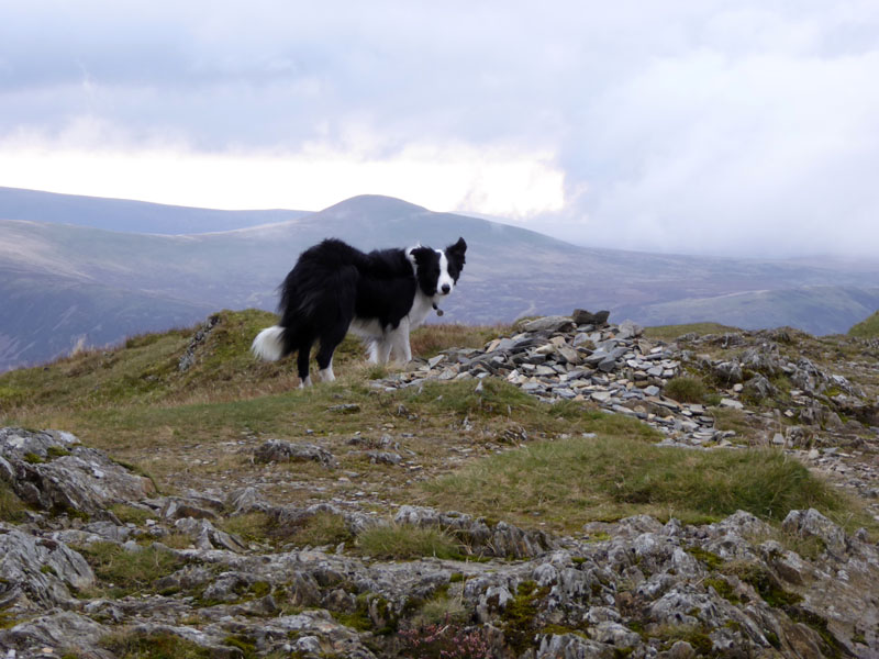 Whiteless Pike Summit