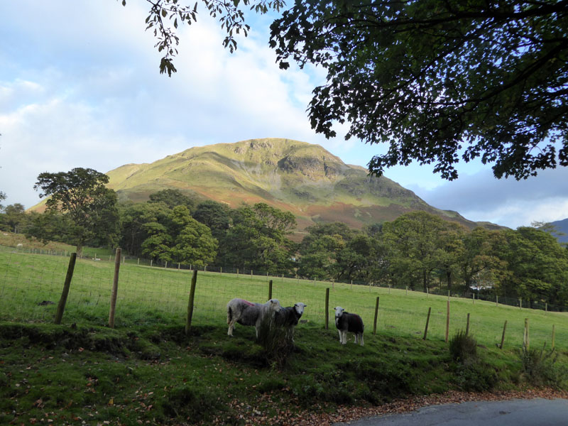 High Snockrigg