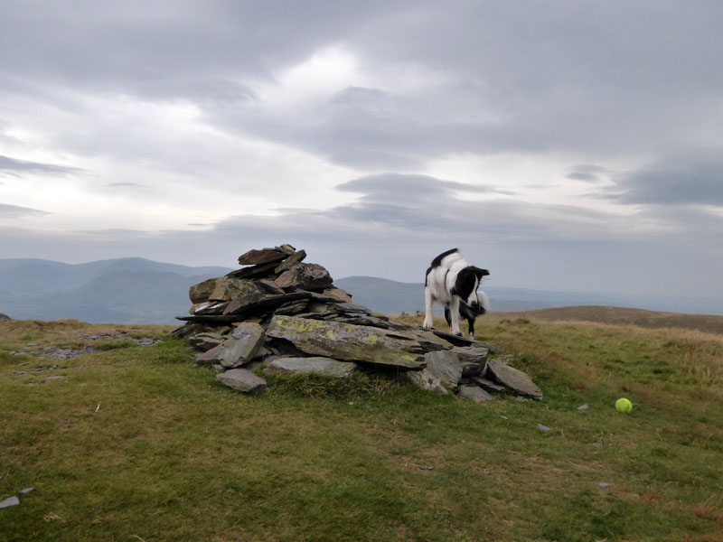 Graystones Summit