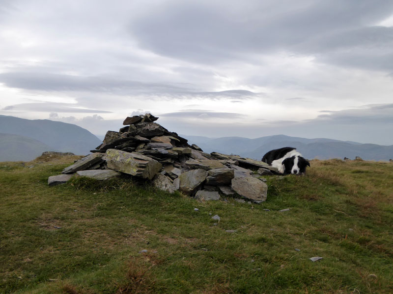 Graystones Summit