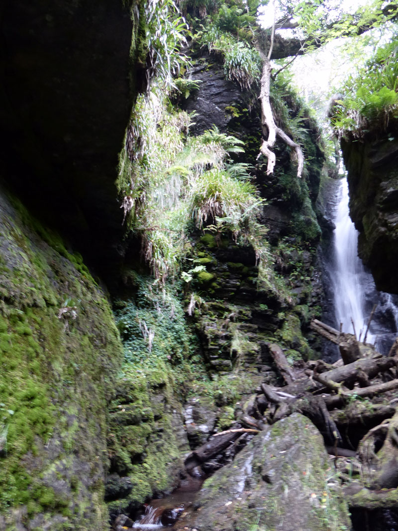 Spout Force