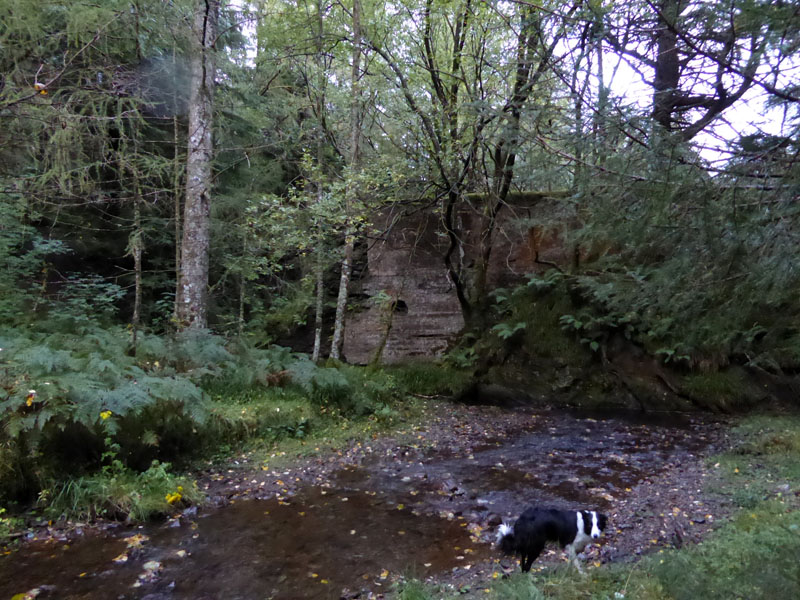 Comb Beck Dam
