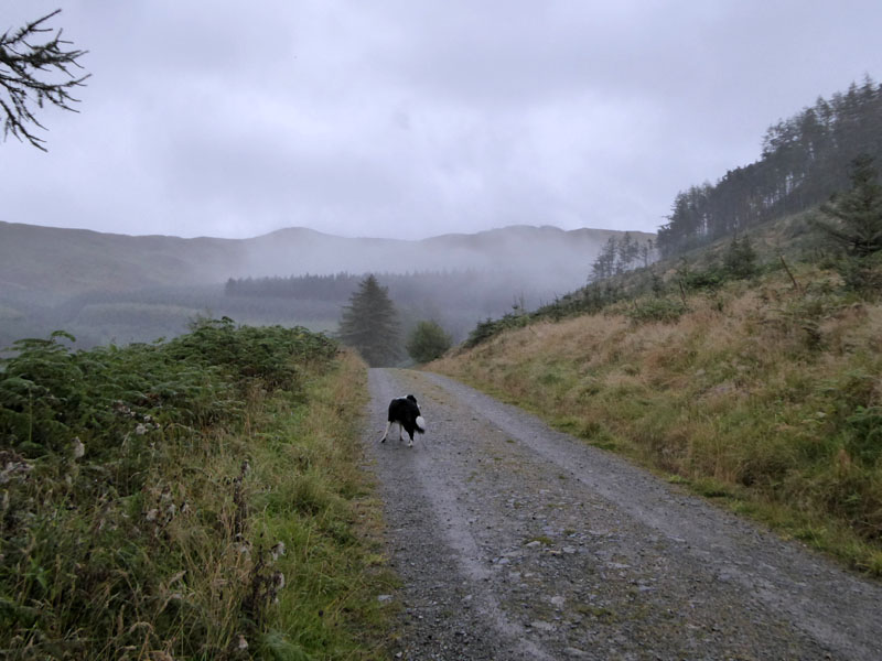 Rain ahead