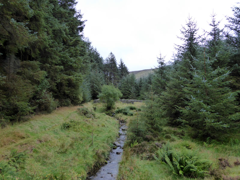 Sheepfold