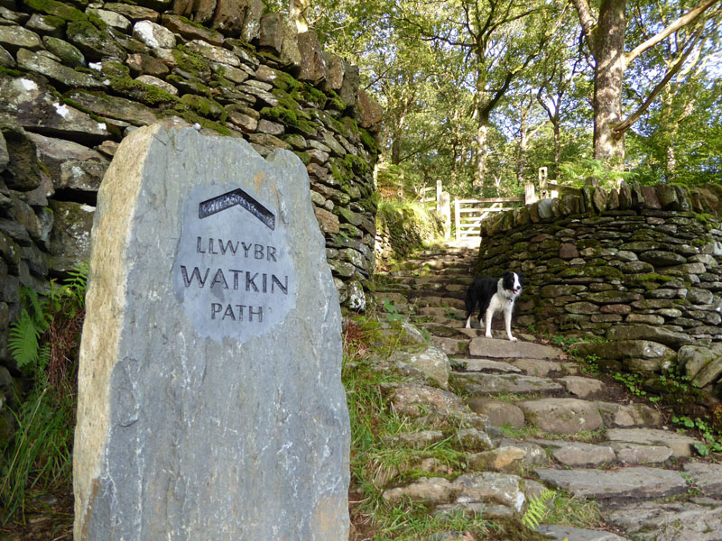 Watkin Path