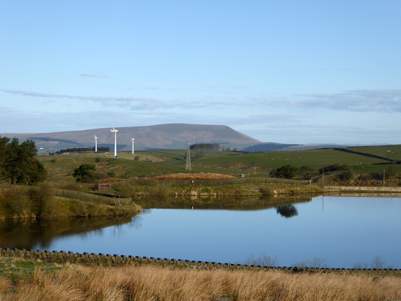 Pendle from Coldwell