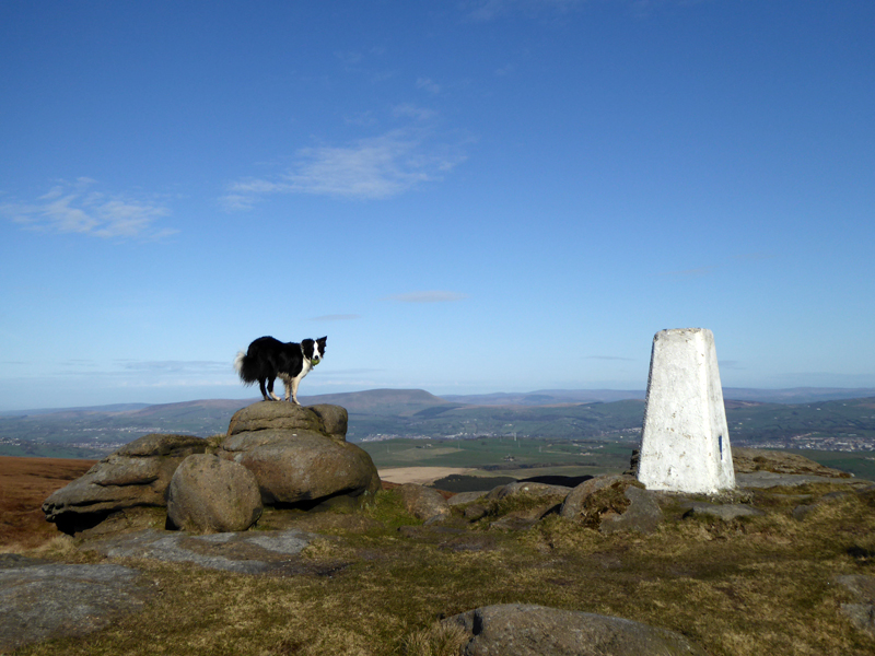 Boulsworth Summit