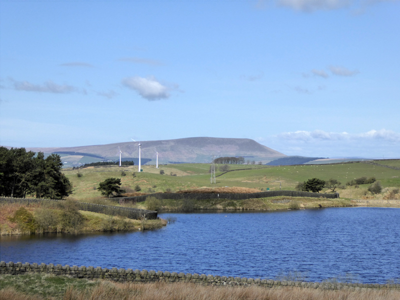 Pendle View