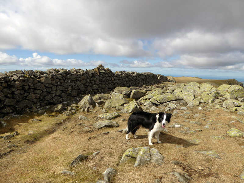 Scoat Fell Summit