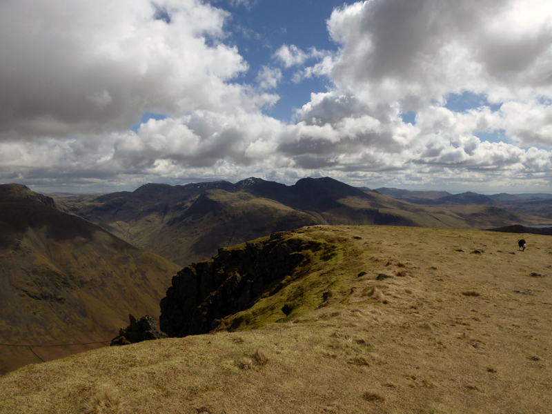 Scafells from Red Pike