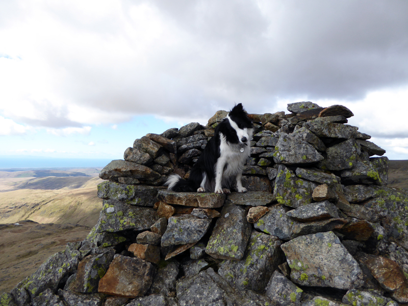 Chair on Red Pike