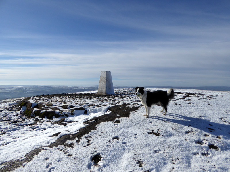 Snowy Pendle