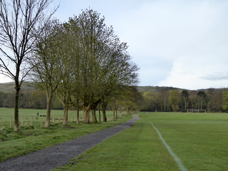 Towneley Fields