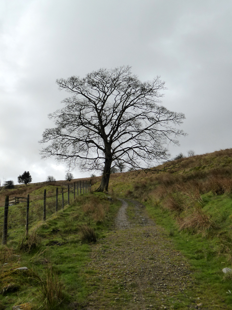 Pennine Bridleway