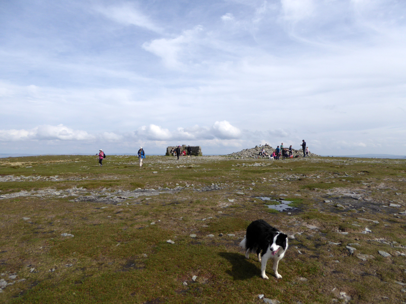 Ingleborough Summit