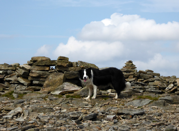 Little Ingleborough