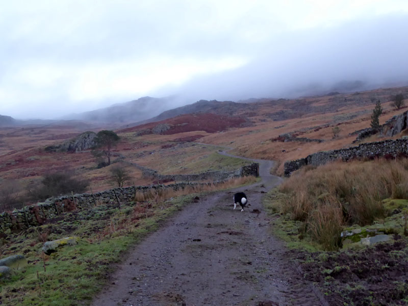 Reservoir Road