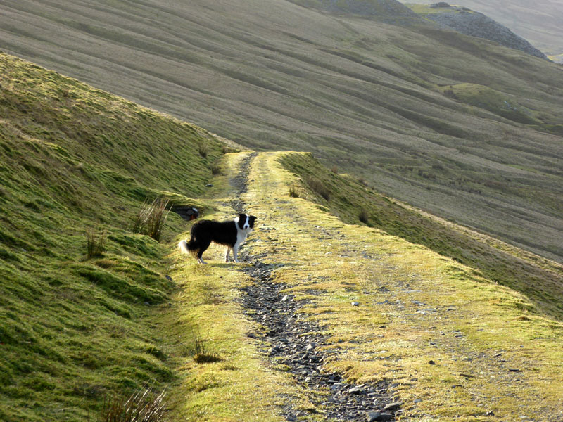 Walna Scar Road