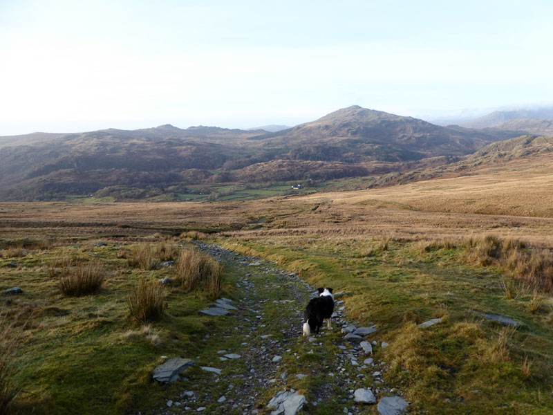 Harter Fell