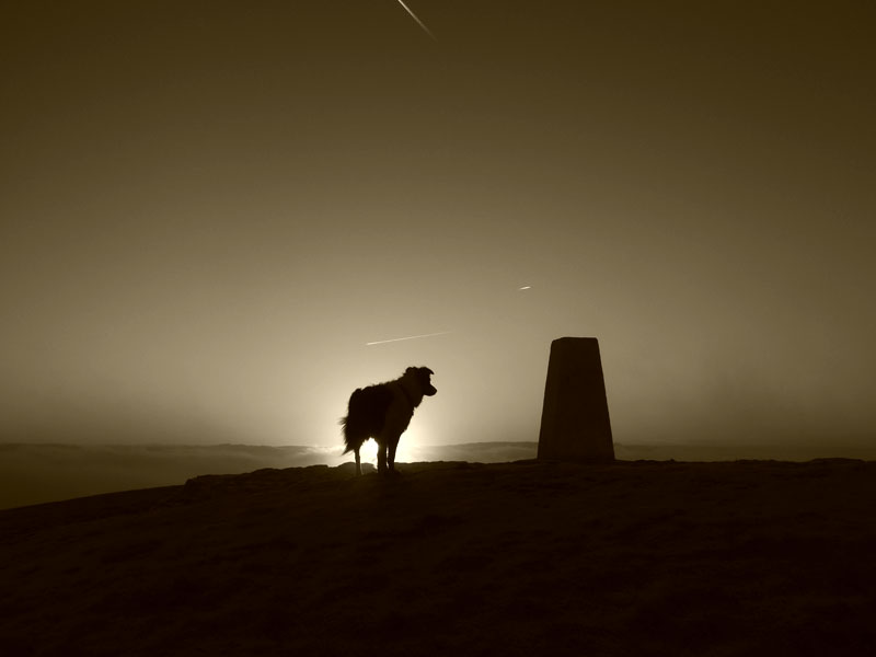 Pendle Summit